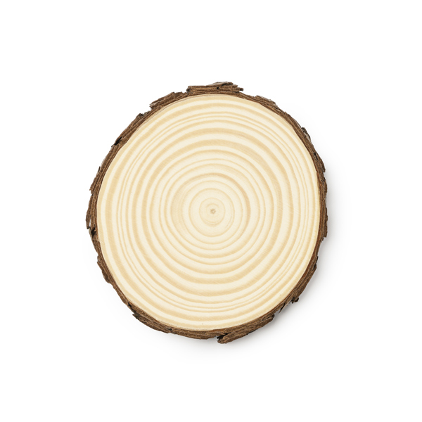 Fantástico set de 4 posavasos realizados en madera de pino natural PINEA de madera